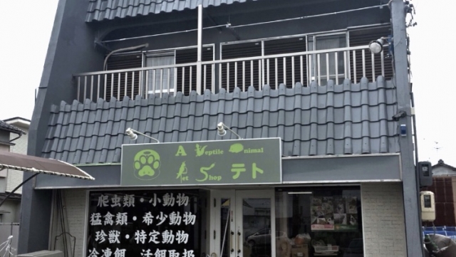 A reptile animal pet shop テト